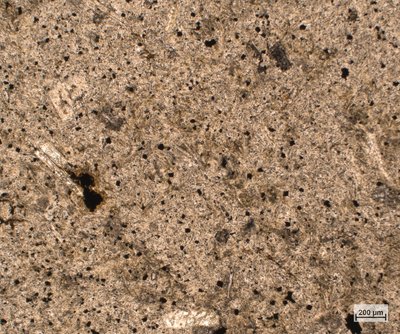 Silně alterovaný andezit