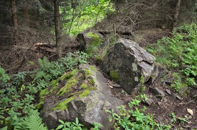 Vrch Homole u Šonova