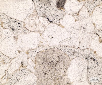 Arkózový pískovec