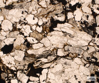 Pískovec se zuhelnatělým organickým materiálem