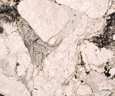 Slepenec z Prkenného Dolu