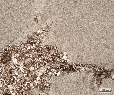 Kontakt mikrokrystalického vápence a pískovce