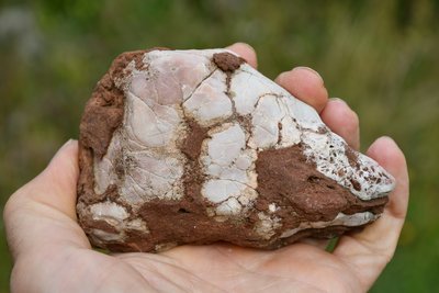 Světlešedý rekrystalizovaný konkrecionální vápenec