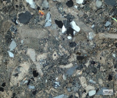 Vápnitý slínovec z lomu Kalabon