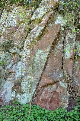 Železitý pískovec v Alpské Vísce