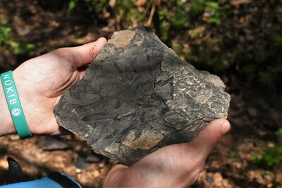 300 milionů let v rukách