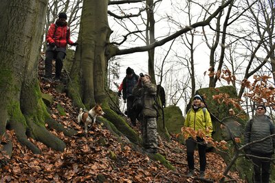 Na prvohorních sopkách