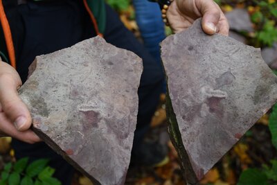 Čteme z kamenů historii Broumovska