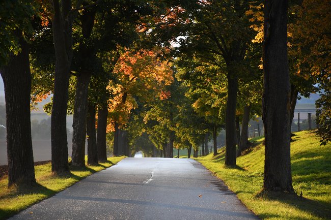 Strategie rozvoje cestovního ruchu regionu Broumovsko 2028