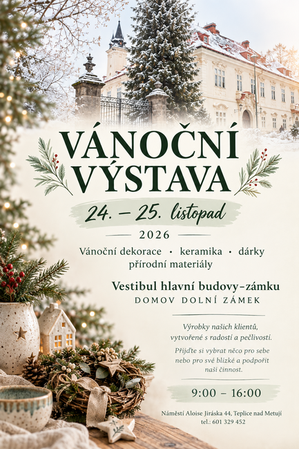 Vánoční výstava v Domově Dolní zámek