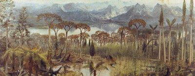 Život skrytý v kamenech