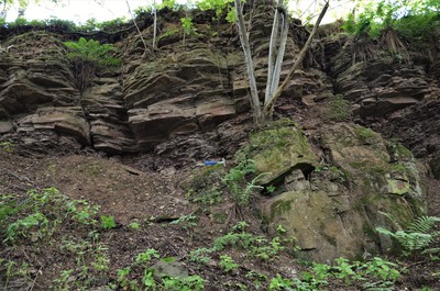 Velký lom na Mlýnském vrchu