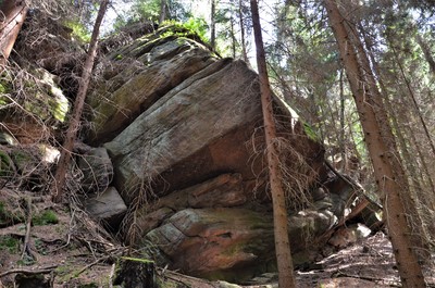 Žaltmanské arkózy v údolí Jíveckého potoka