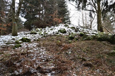 Pseudosopka u Šonova