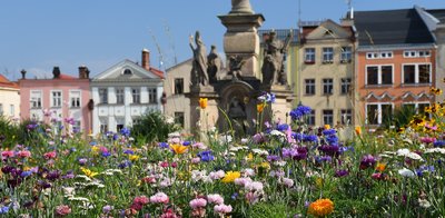 Geopark v Broumovských novinách